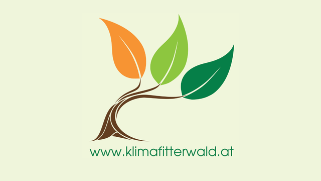 Plattform klimafitter Wald